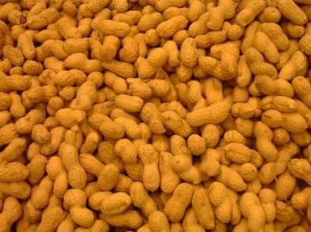 בוטנים קלויים במיקורגל