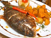 דג מטוגן נוסח קזבלנקה ברוטב "מצרמל"