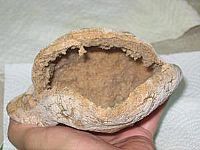 פיתה מקמח מלא – מדהים