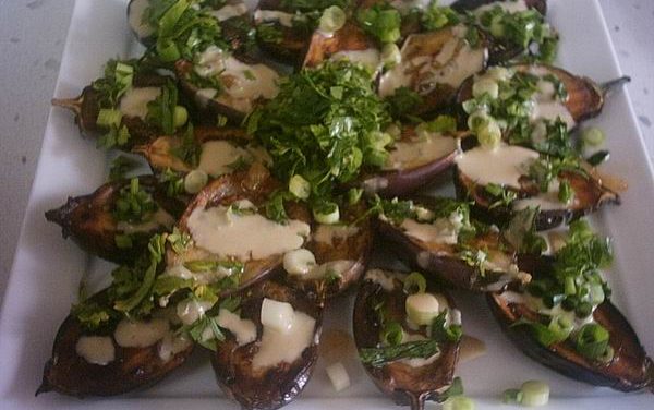 חגיגת חצילונים