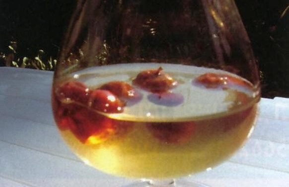 ליקר משיזפים ("דומים")