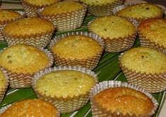 פיננסייר נענע