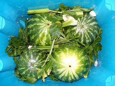 אבטיח מוחמץ