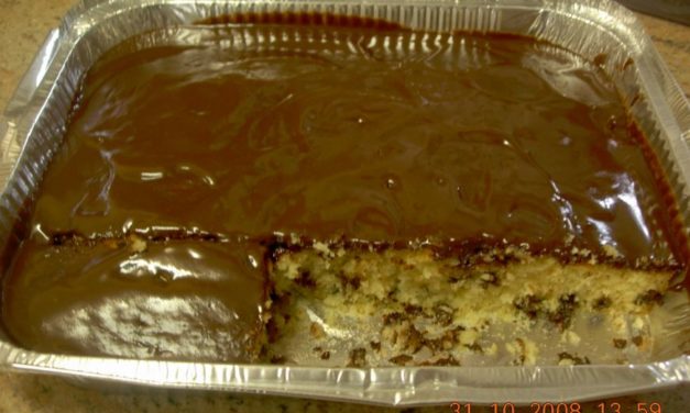 עוגה בחושה עם קוקוס ושוקולד צ'יפס