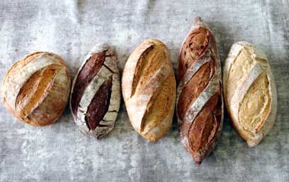 גאפטה אלנפוליטנה