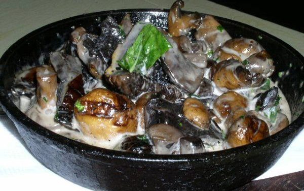 רצועות עוף וחציל מוקפצות בסויה ואגוזים