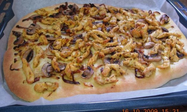 פיצה חזה עוף בצל ופטריות