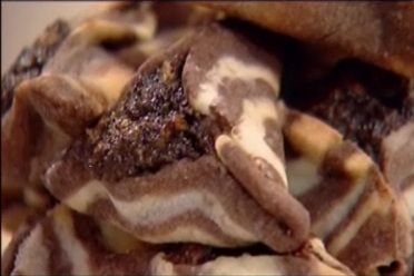 אוזני ההמן של קרין גורן