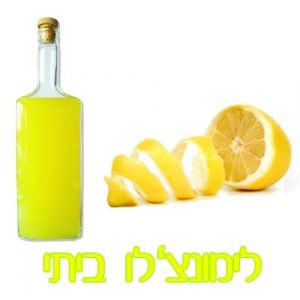 הלימונצ'לו של סילביה