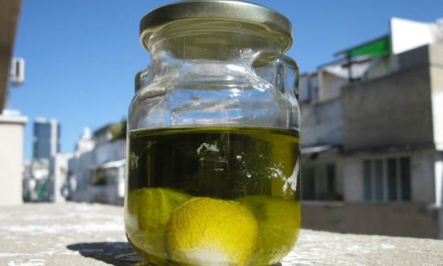 לבנה ביתית אסלית